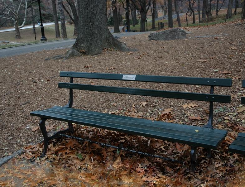 4. front view of the bench by Zanna.jpg - ACD Systems Digital Imaging
